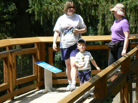 Children's garden