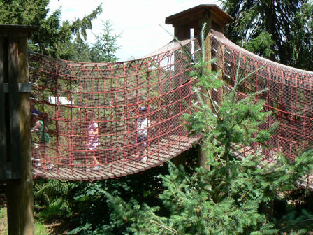 Children's garden
