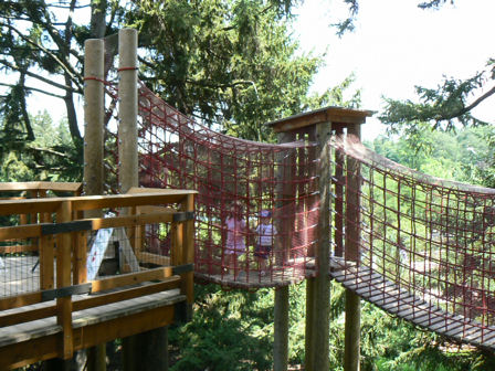 Children's garden