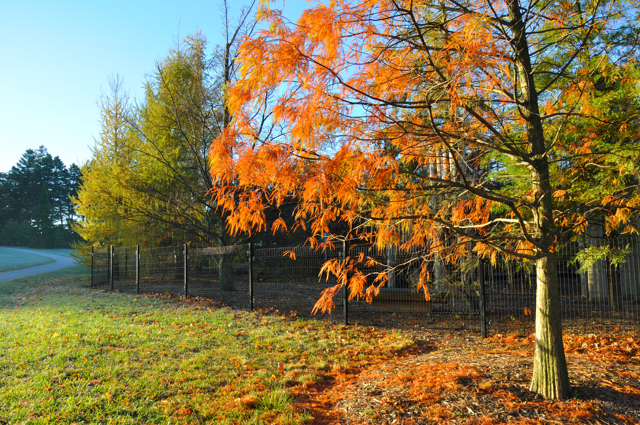November
