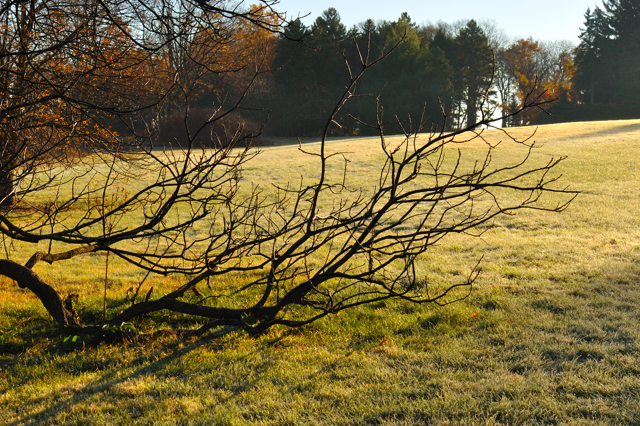 November