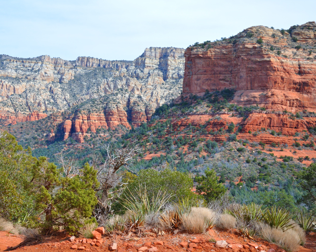 Coconino