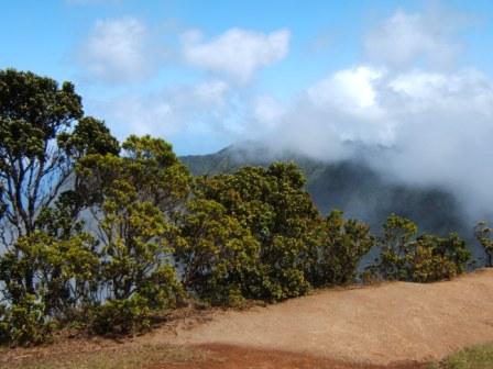 Kalalau valley overlook with the ocean in the background