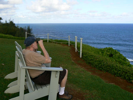 The Cliffs
