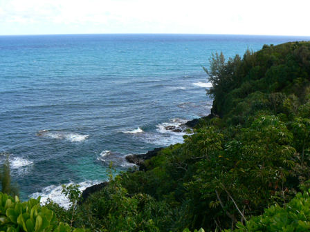 The Cliffs