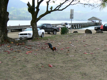 Hanalei Bay