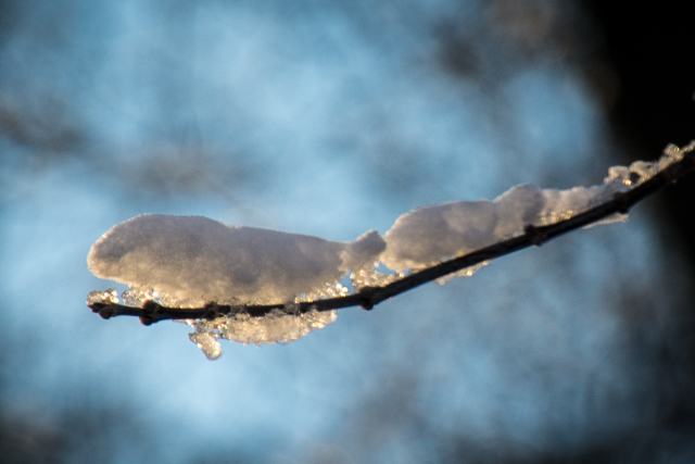 snow