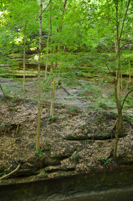 Starved Rock