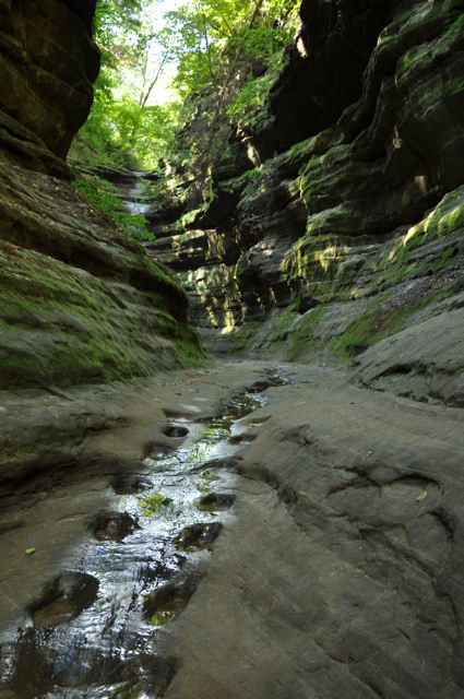 Starved Rock